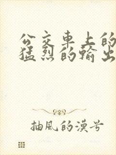 公交车上的诗请猛烈的输出阅读