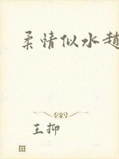 柔情似水赵雅儿