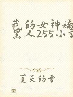 我的女神娇妻与黑人255小说