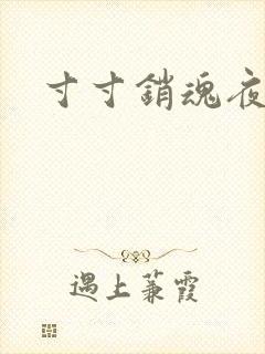 寸寸销魂夜春光