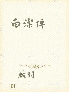 白洁传