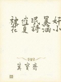 被催眠暴奸的校花夏诗涵小说