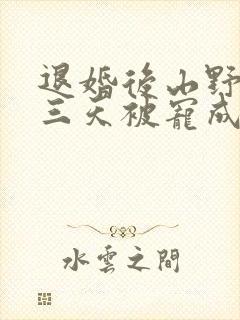 退婚后山野糙汉三天被宠成宝小说