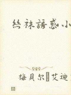 《丝袜诱惑小说》小说封面