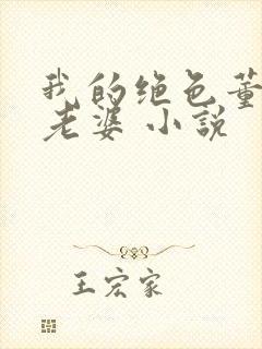 我的绝色董事长老婆 小说