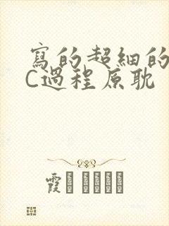 写的超细的多肉C过程原耽