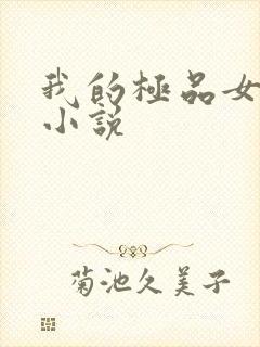 我的极品女老师小说
