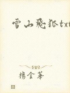 雪山飞狐txt