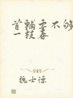 首辅要不够po一枝春