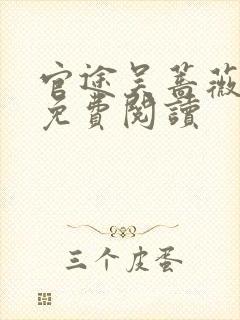 官途吴蔷薇全文免费阅读封面