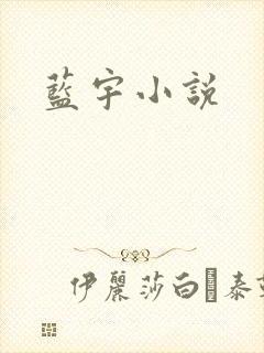 蓝宇小说