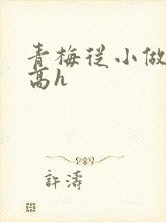 青梅从小做到大高h