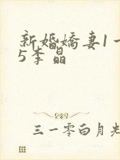 新婚娇妻1一25李晶