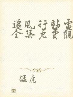 追风行动电视剧全集免费观看