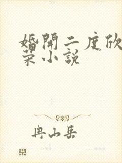 婚开二度欣欣向荣小说
