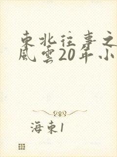 东北往事之黑道风云20年小说