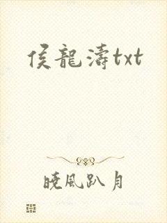 侯龙涛txt封面