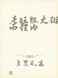 《老旺粗大挺进秦雨体内》小说封面