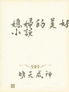 媳妇的美好时代小说