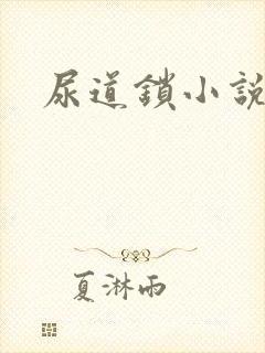 《尿道锁小说》小说封面