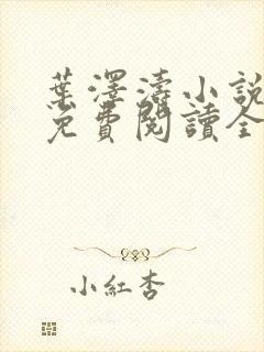 叶泽涛小说全文免费阅读全文