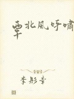 西北风呼啸的中午