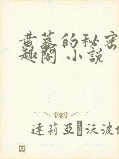 黄蓉的秘密 笔趣阁 小说