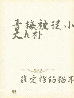 青梅被从小摸到大h补