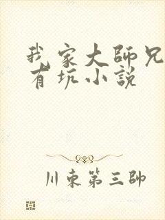 我家大师兄脑子有坑小说