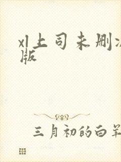 xl上司未删减版