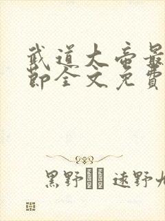 武道大帝最新章节全文免费阅读