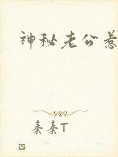 神秘老公惹不起