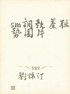 sm调教羞耻姿势图片