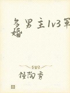 多男主1v3军婚