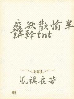 瘾欲欢愉半块小饼干tnt