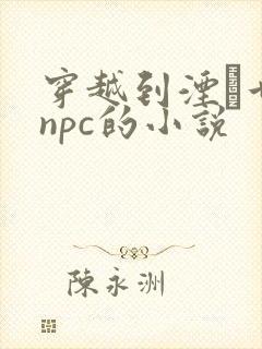 穿越到湮婸世界npc的小说