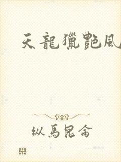 天龙猎艳风流