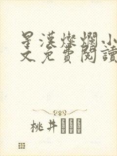 星汉灿烂小说全文免费阅读