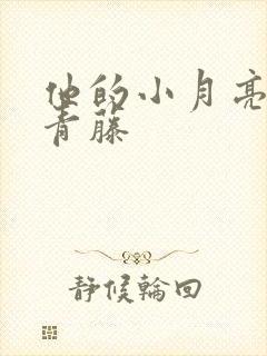 他的小月亮by青藤