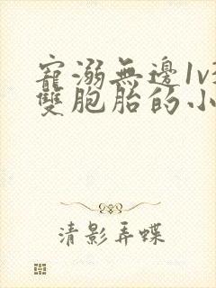 宠溺无边1v3双胞胎的小说