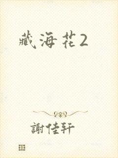 藏海花2