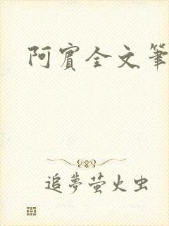 阿宾全文笔趣阁