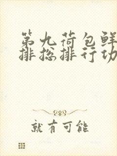 第九荷包鲜辣肉排总排行功能介绍