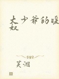 大少爷的暖床小奴