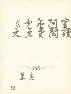 《少年阿宾》全文免费阅读