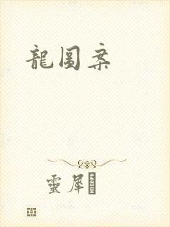 龙图案