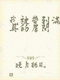 我被带到满是玩具的房间