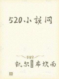 520小说网