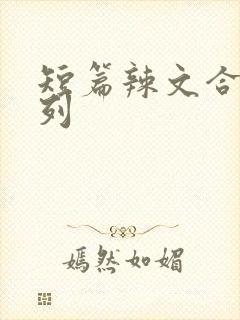 短篇辣文合集系列