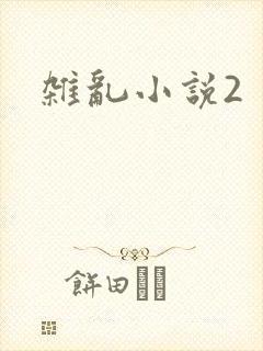 杂乱小说2